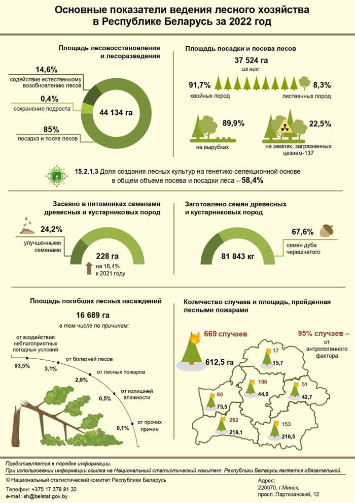 infograf22